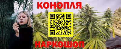 молекула духа Кулебаки