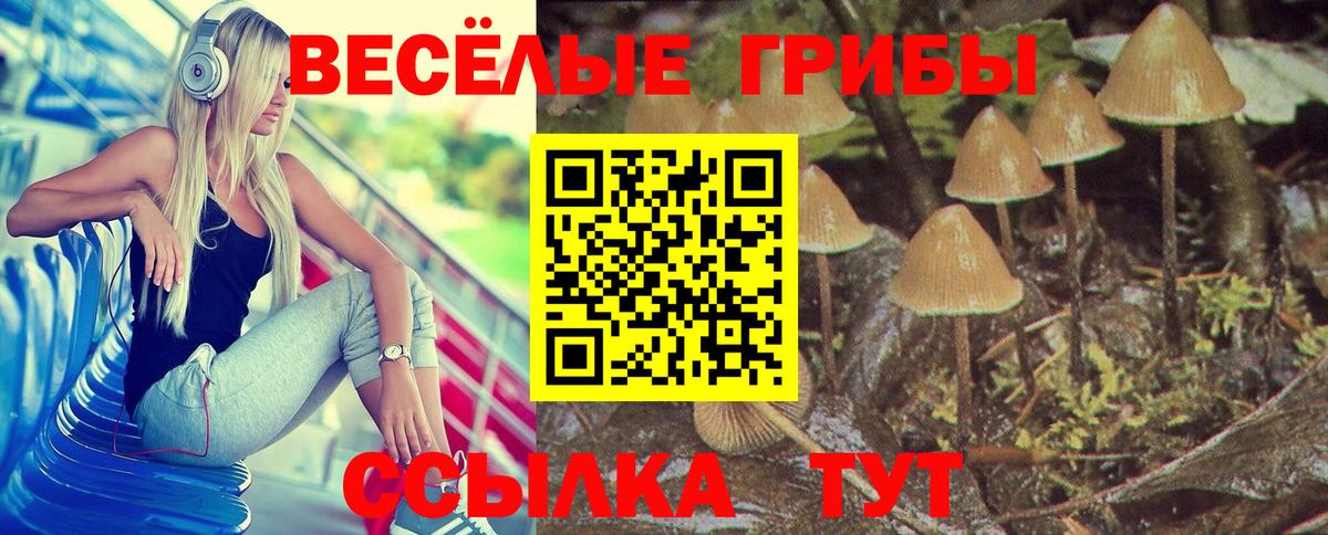 Псилоцибиновые грибы Psilocybe  Вход с VPN  Изобильный 