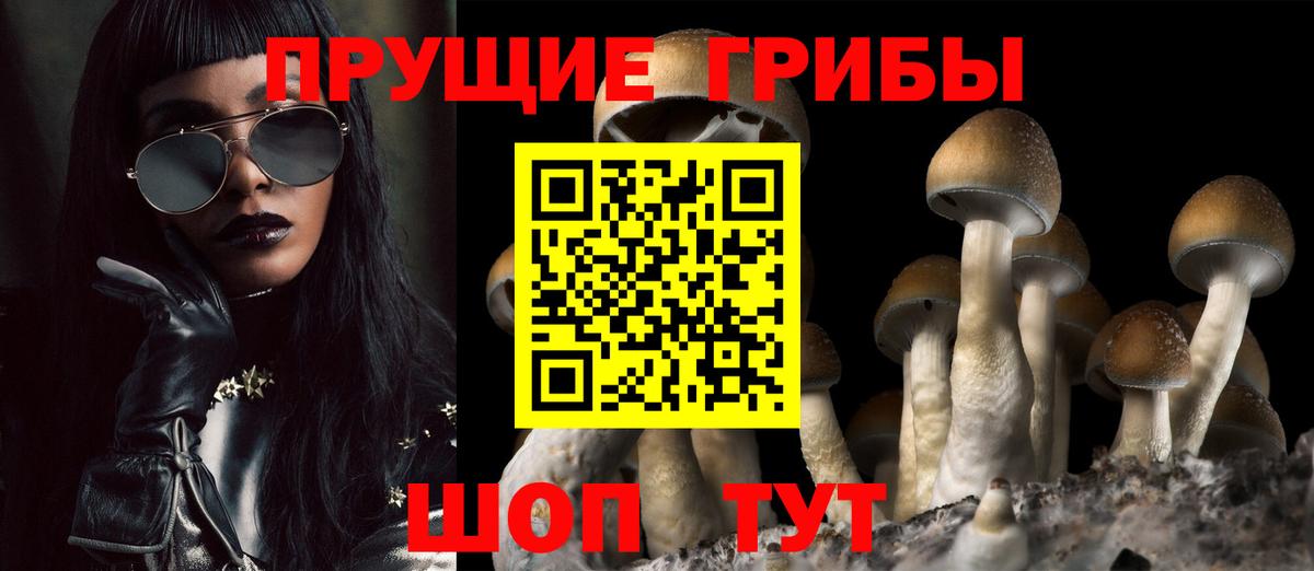 Галлюциногенные грибы прущие грибы Изобильный
